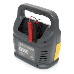 PROSTOWNIK MIKROPROCESOROWY 12V/24V 60-200Ah KD1920