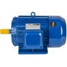 Silnik elektryczny 3,0KW 380V KD1816