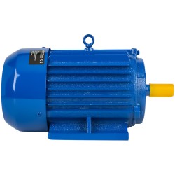 Silnik elektryczny 3,0KW 380V KD1816
