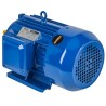 Silnik elektryczny 3,0KW 380V KD1816