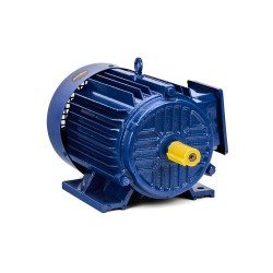 Silnik elektryczny 4,0KW 380V 1440rpm KD1817