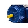 Silnik elektryczny 4,0KW 380V 1440rpm KD1817